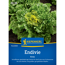 Endivie 'Eros'