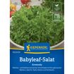 hauptbild