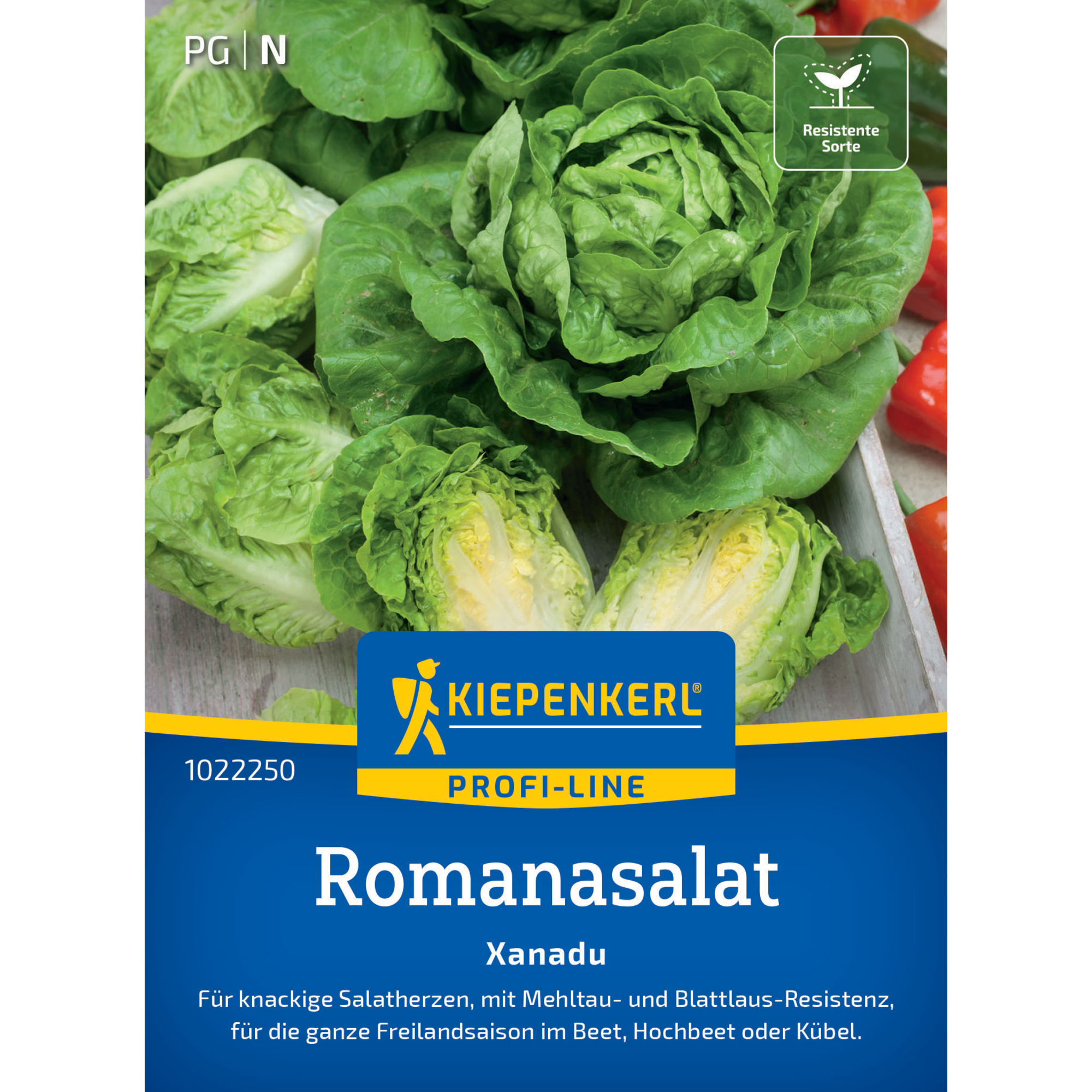 Romanasalat 'Xanadu'