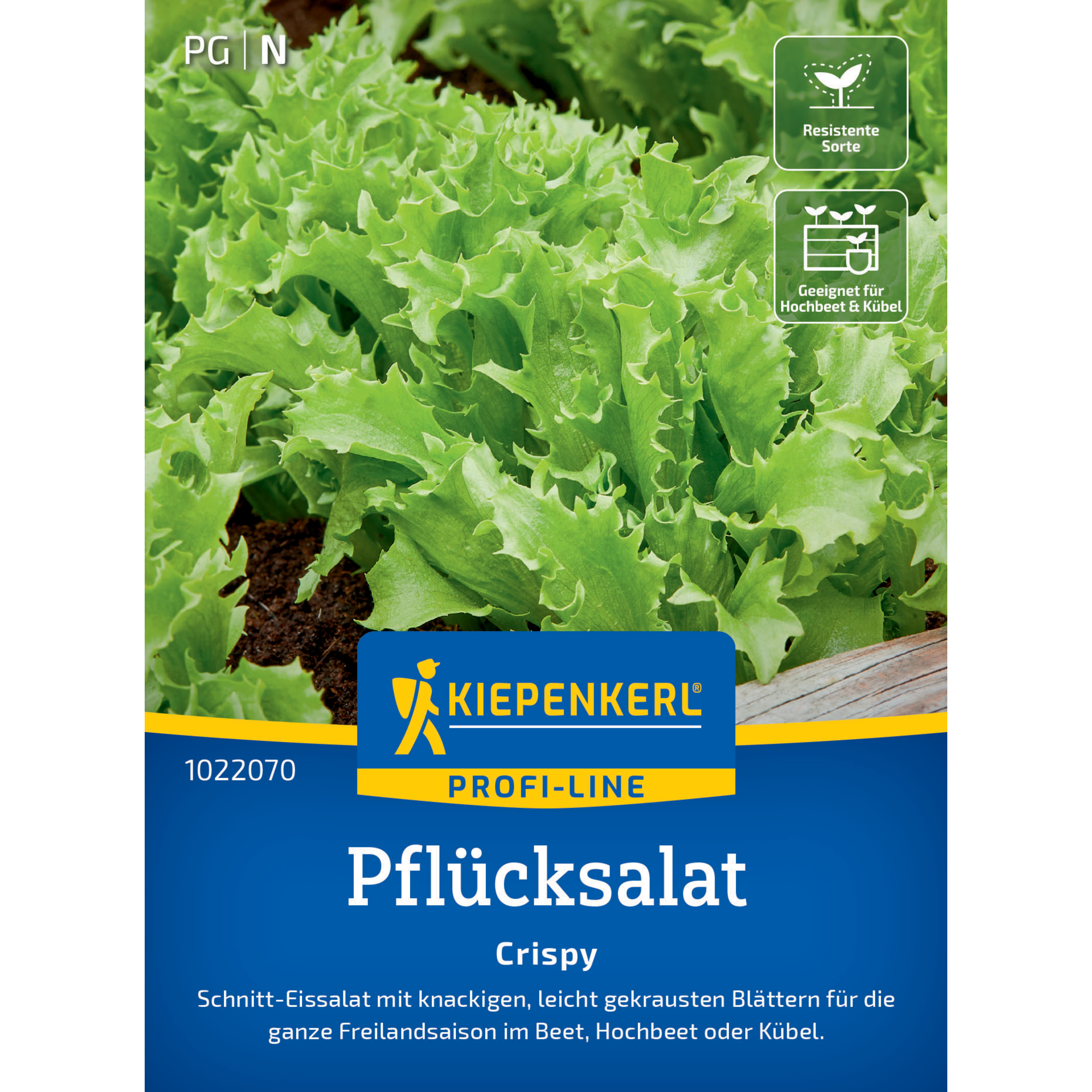 Pflücksalat 'Crispy'
