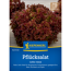Pflücksalat 'Lollo rossa'