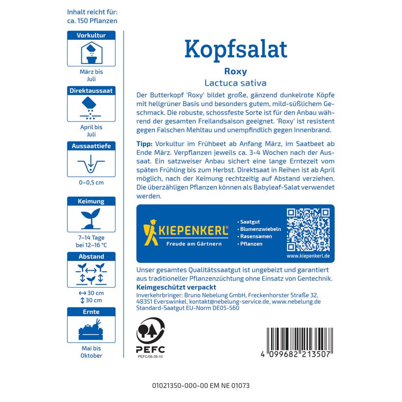 Kopfsalat 'Roxy'