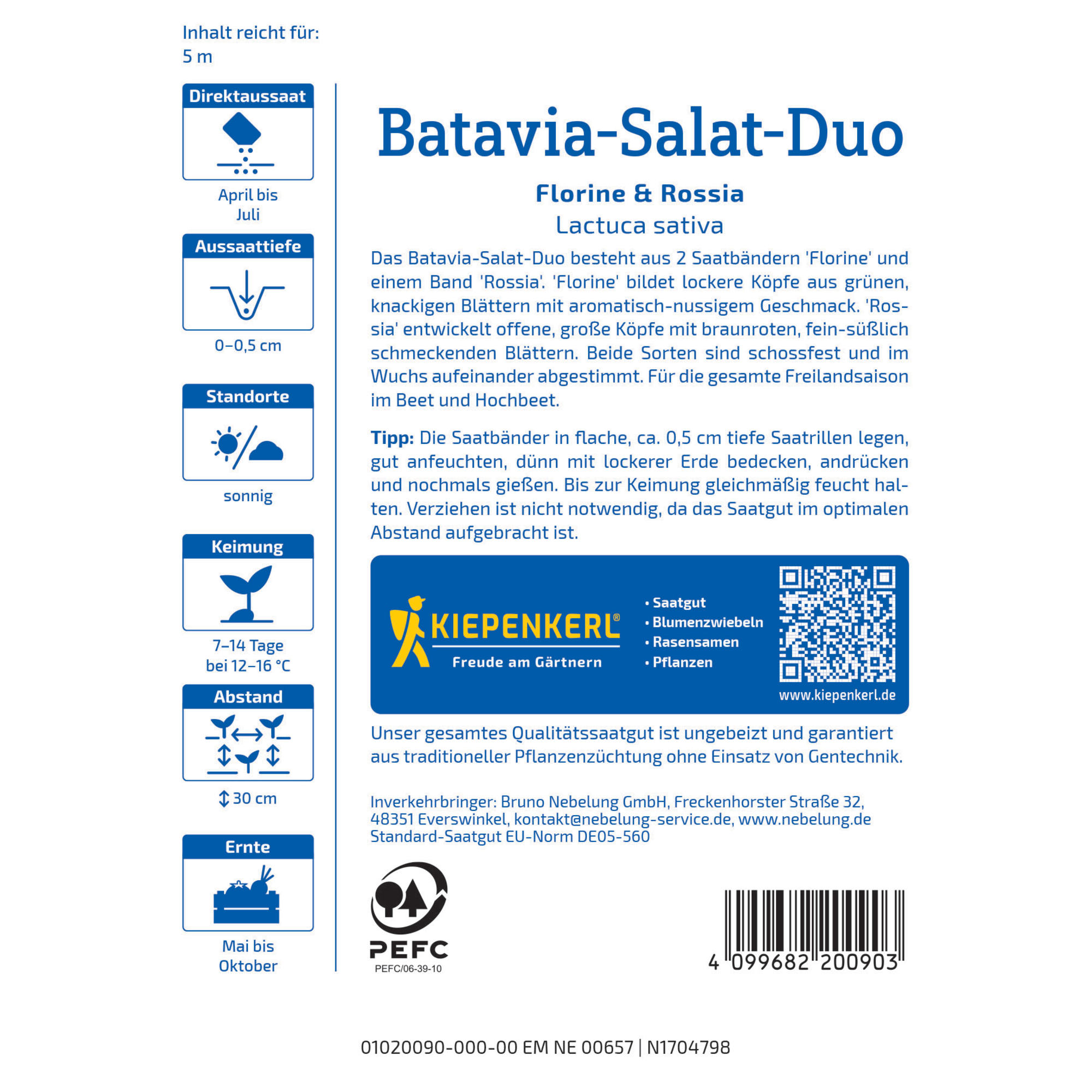 Batavia-Salat-Duo 'Florine & Rossia' Saatband 5 m