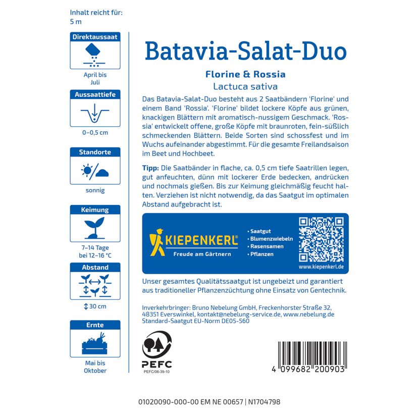 Batavia-Salat-Duo 'Florine & Rossia' Saatband 5 m