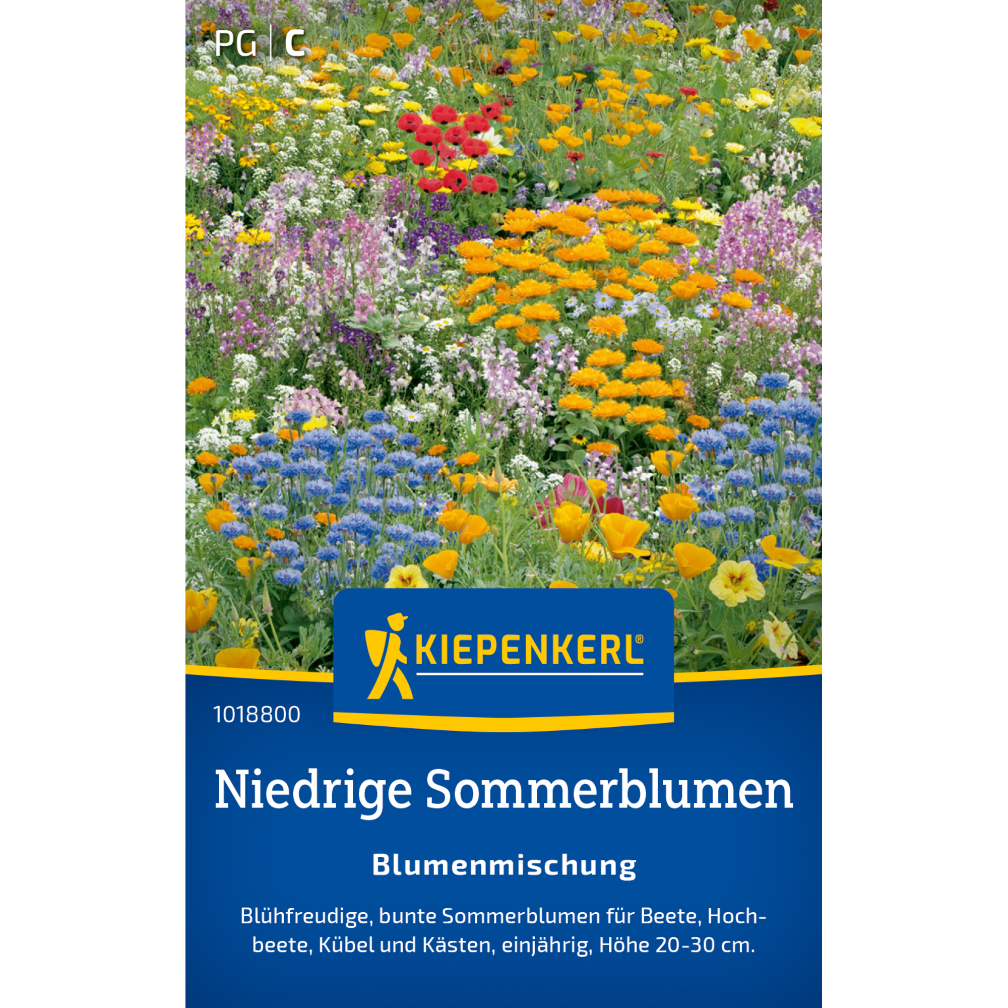 Blumenmischung 'Niedrige Sommerblumen'