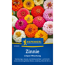 Zinnie 'Liliput Mischung'