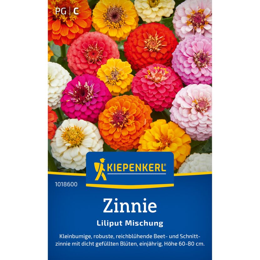 Zinnie 'Liliput Mischung'