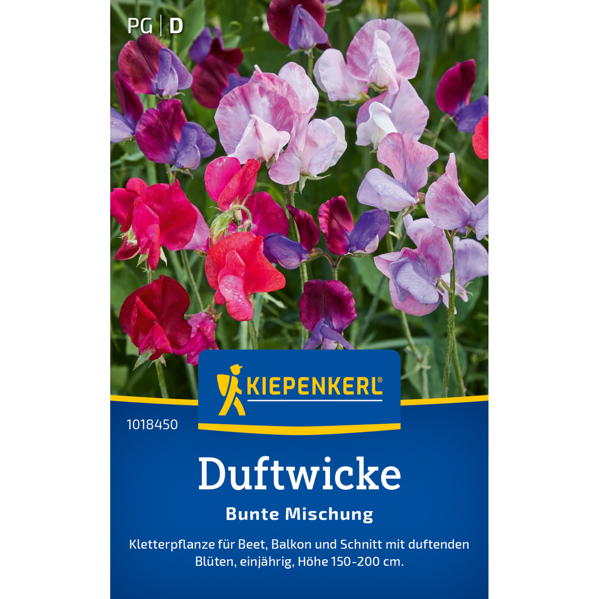 Duftwicke 'Bunte Mischung'