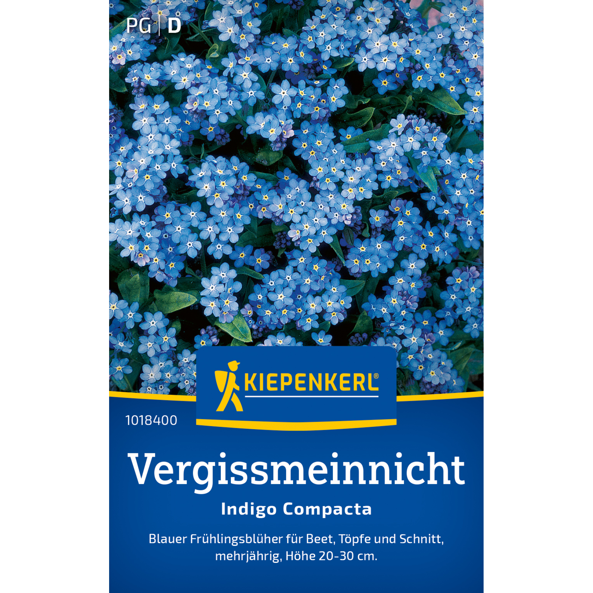 Vergissmeinnicht 'Indigo Compacta'