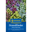 Strandflieder 'Statice Mischung'