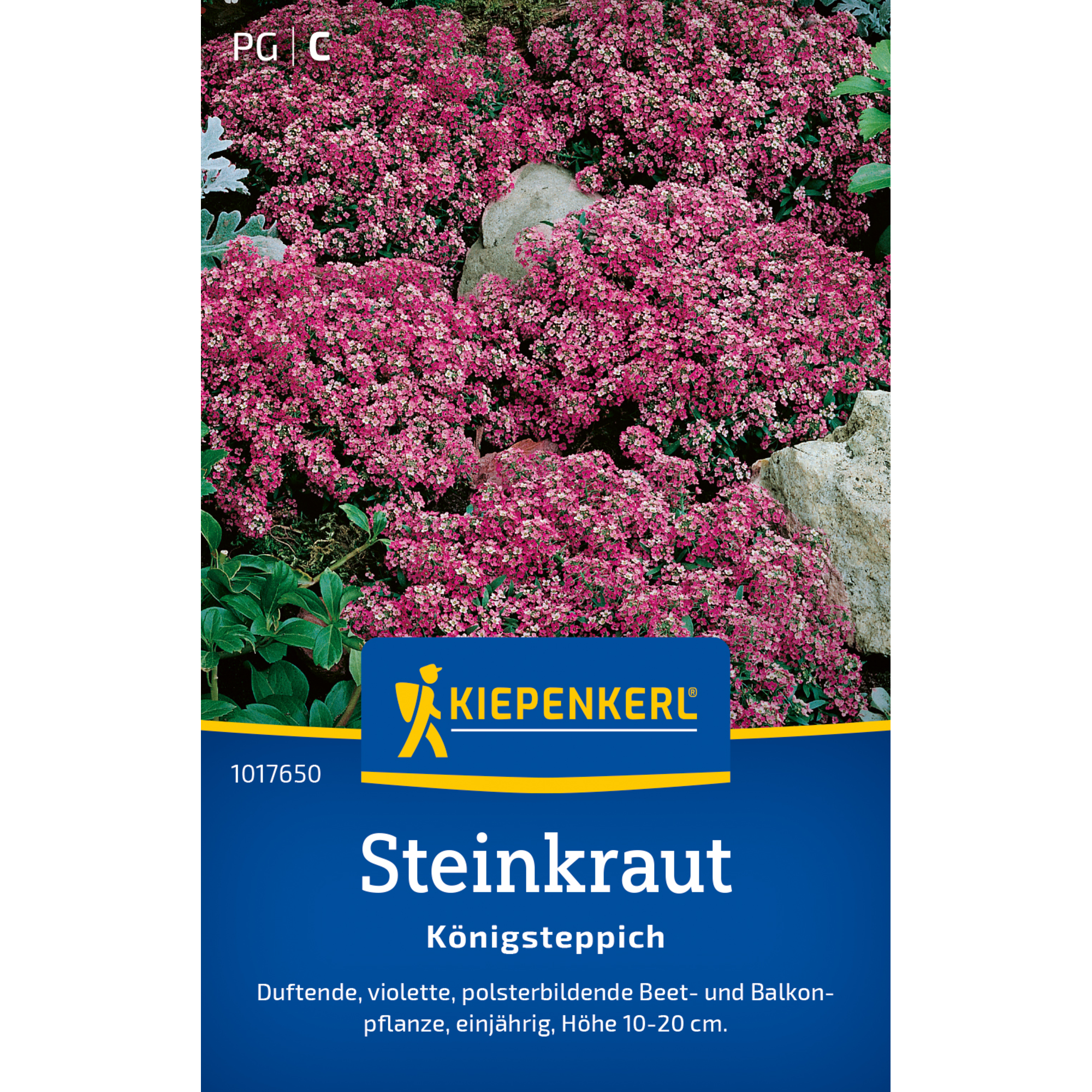 Steinkraut 'Königsteppich'