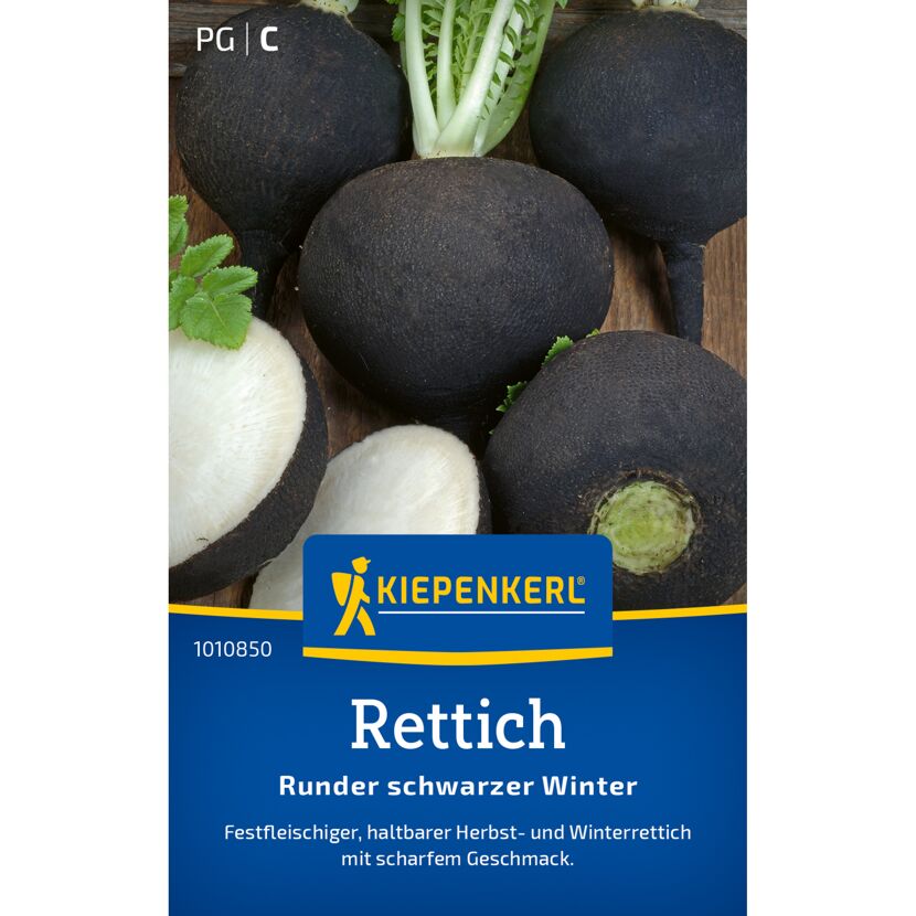 Rettich 'Runder schwarzer Winter'
