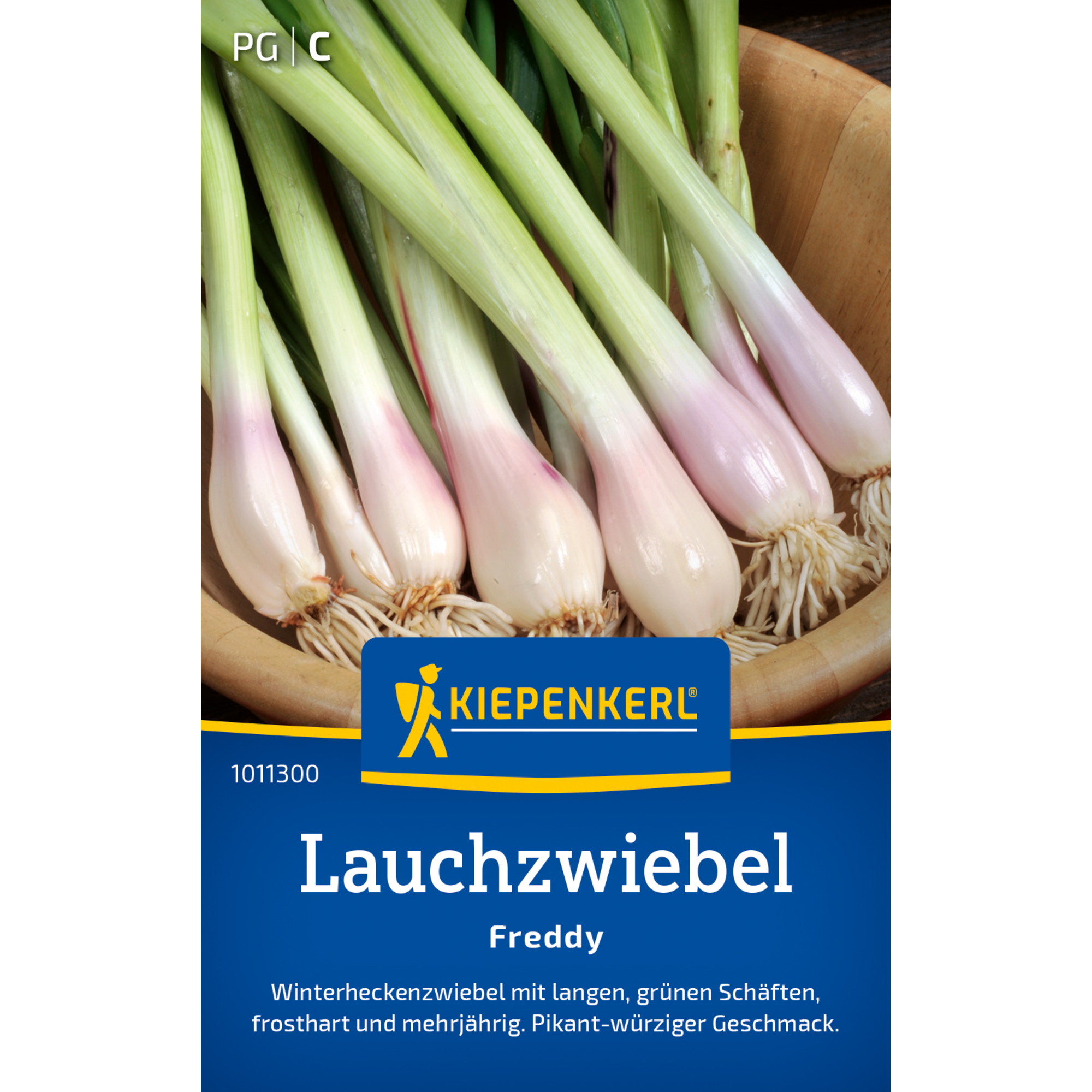 Lauchzwiebel 'Freddy'