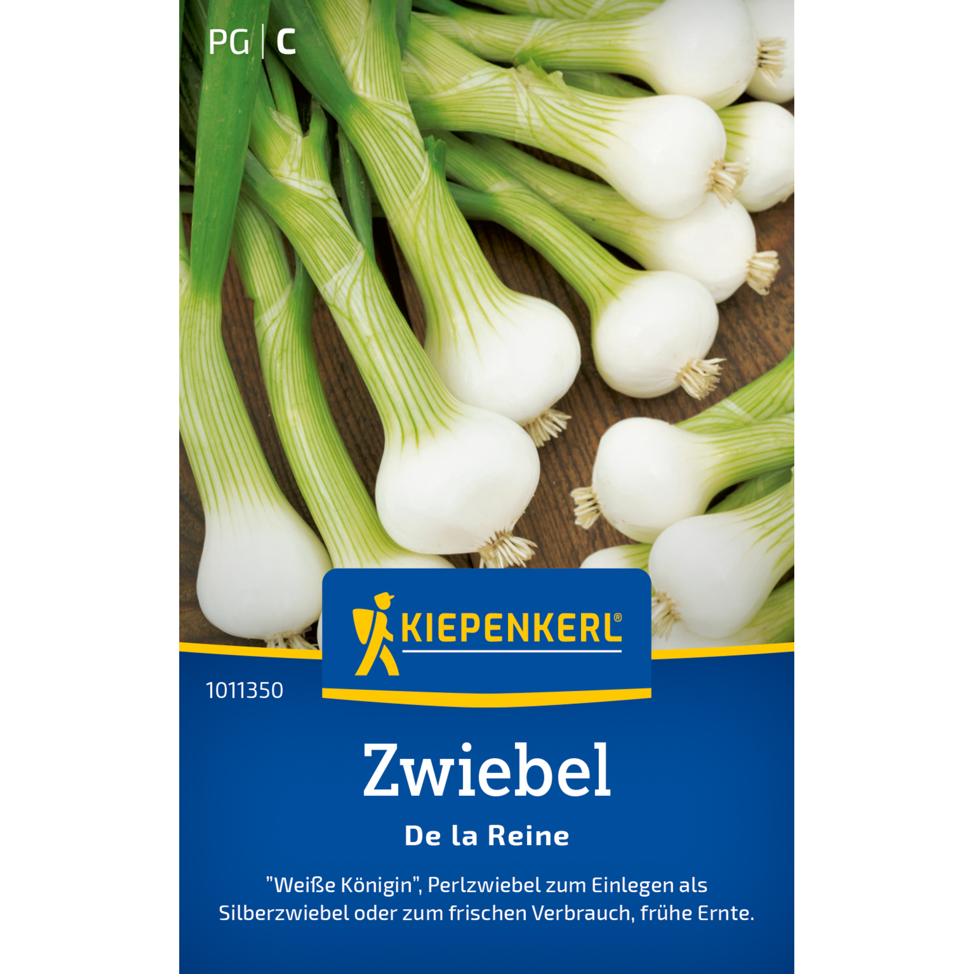 Zwiebel 'De la Reine'