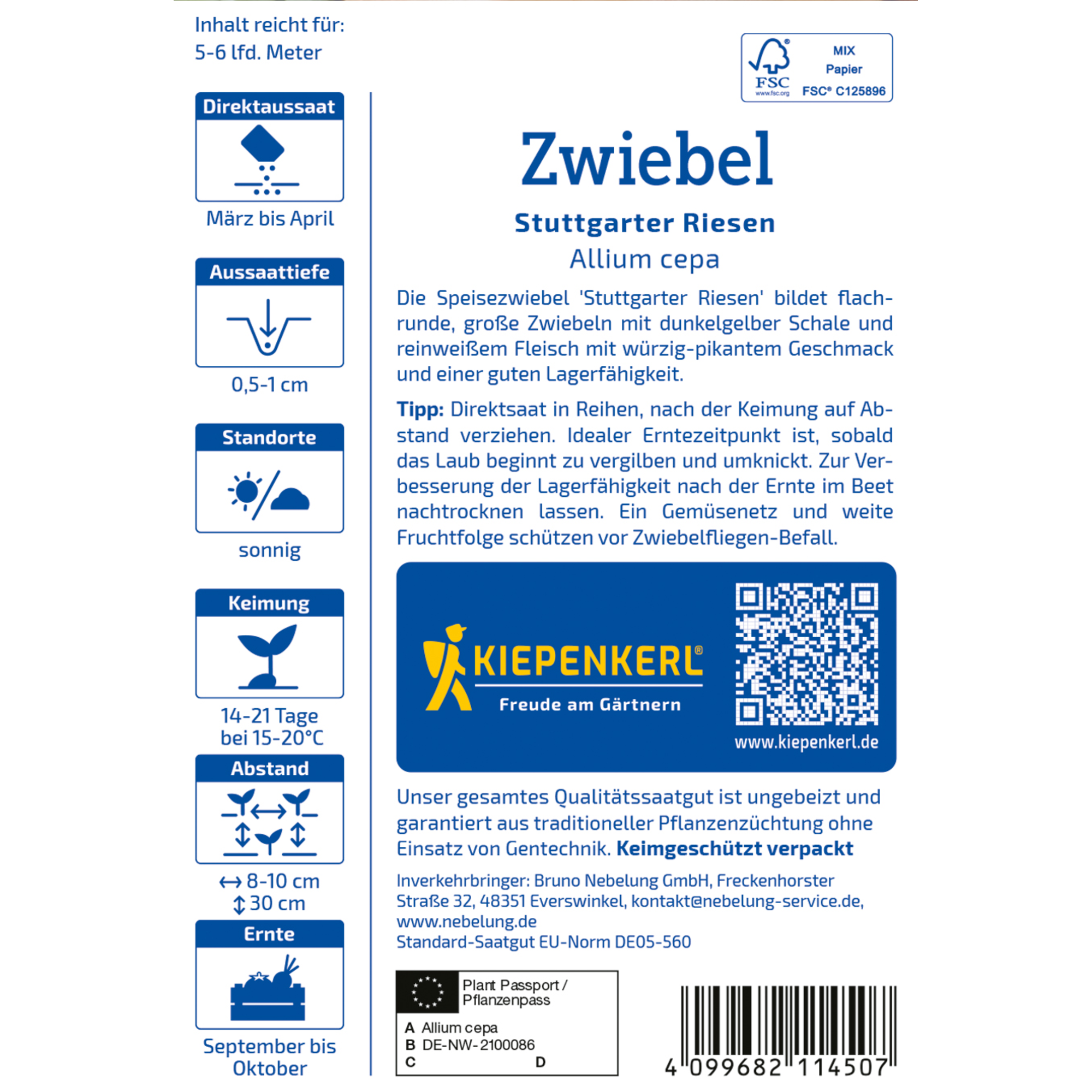 Zwiebel 'Stuttgarter Riesen'
