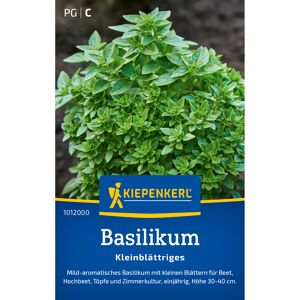 Basilikum 'Kleinblättriges'