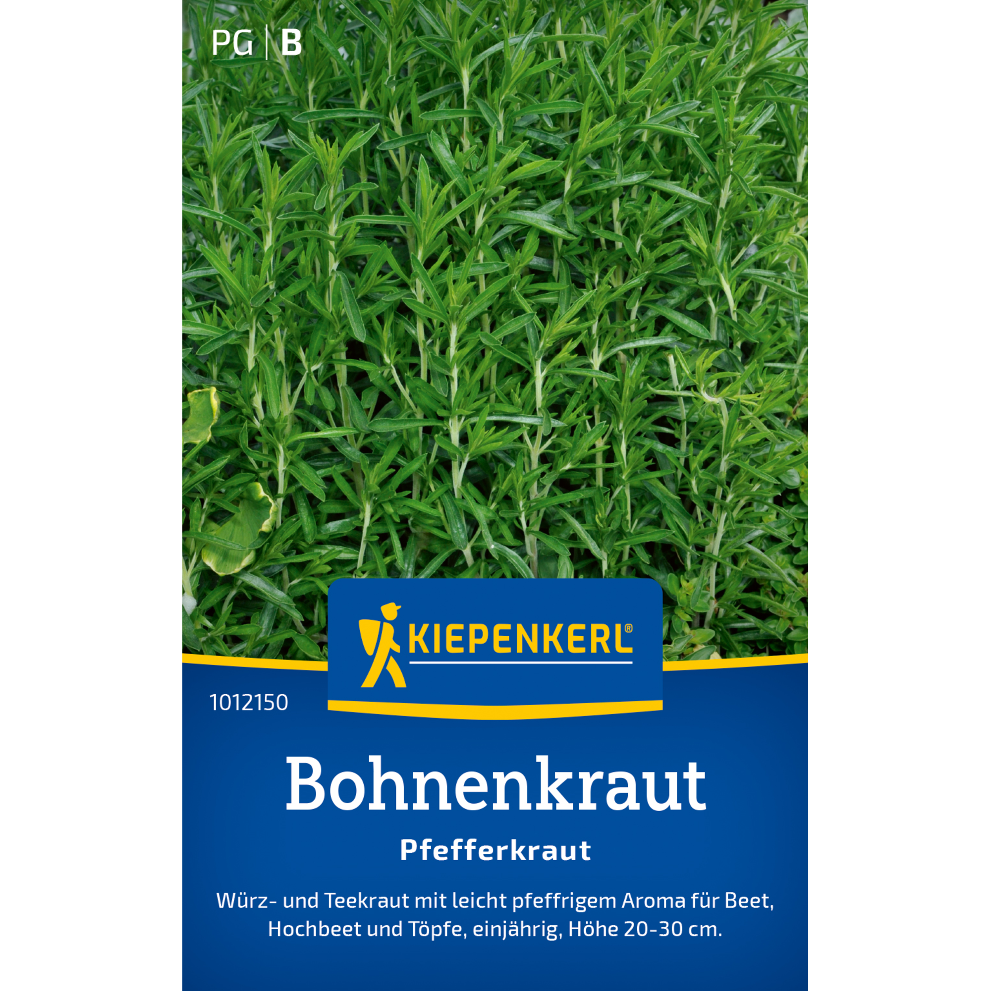 Bohnenkraut 'Pfefferkraut'