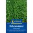Bohnenkraut 'Pfefferkraut'