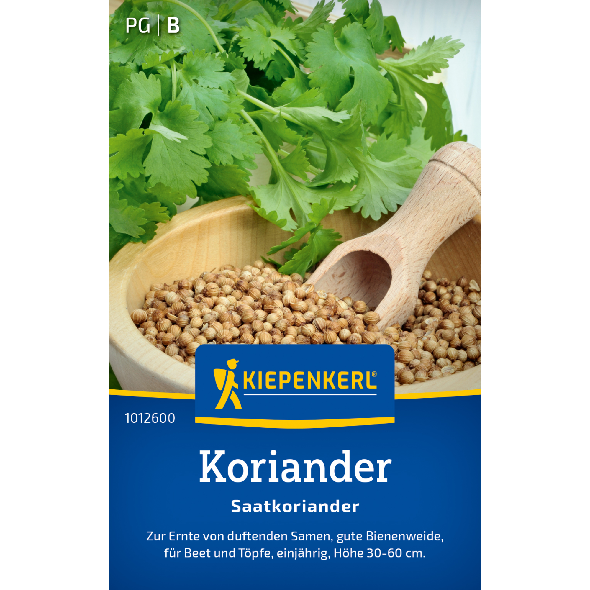 Koriander 'Saatkoriander'