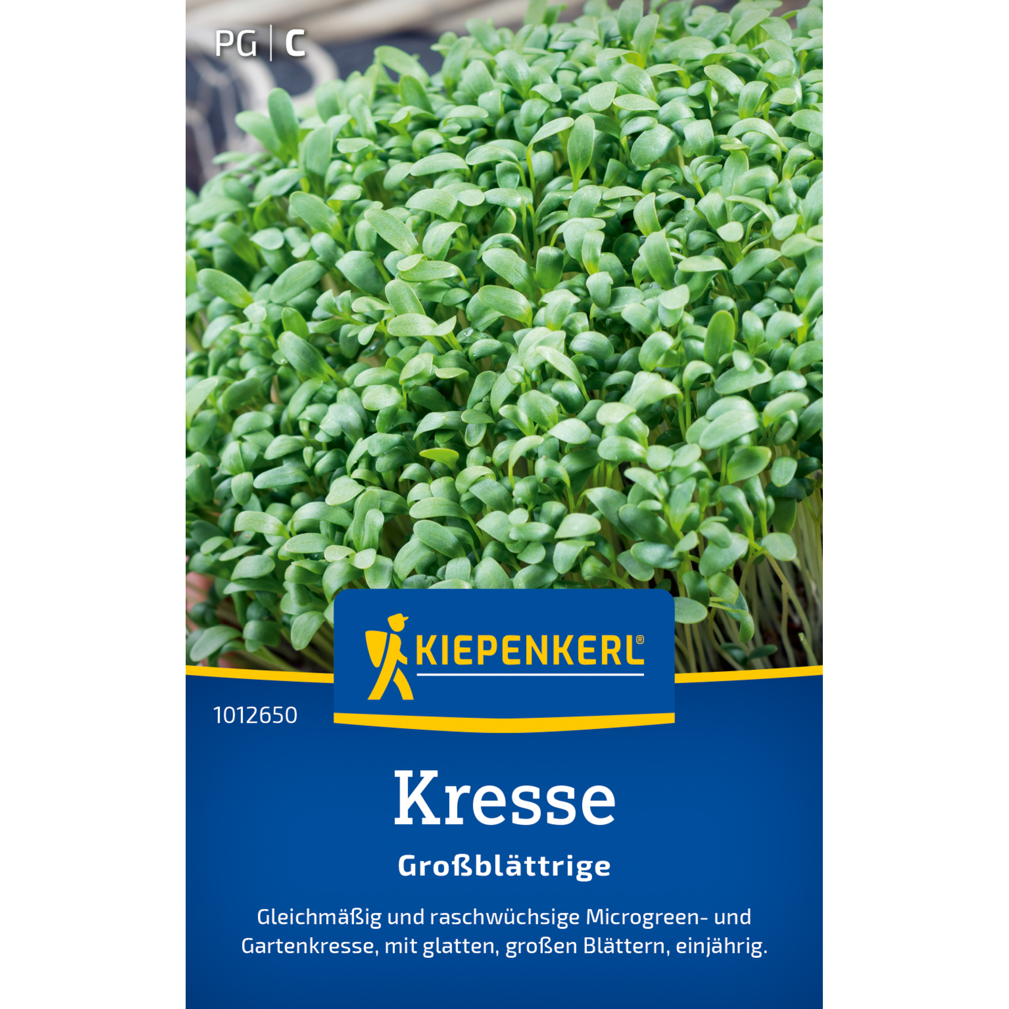 Kresse 'Glatte großblättrige'