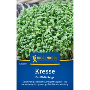 Kresse 'Glatte großblättrige'
