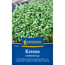 Kresse 'Glatte großblättrige'