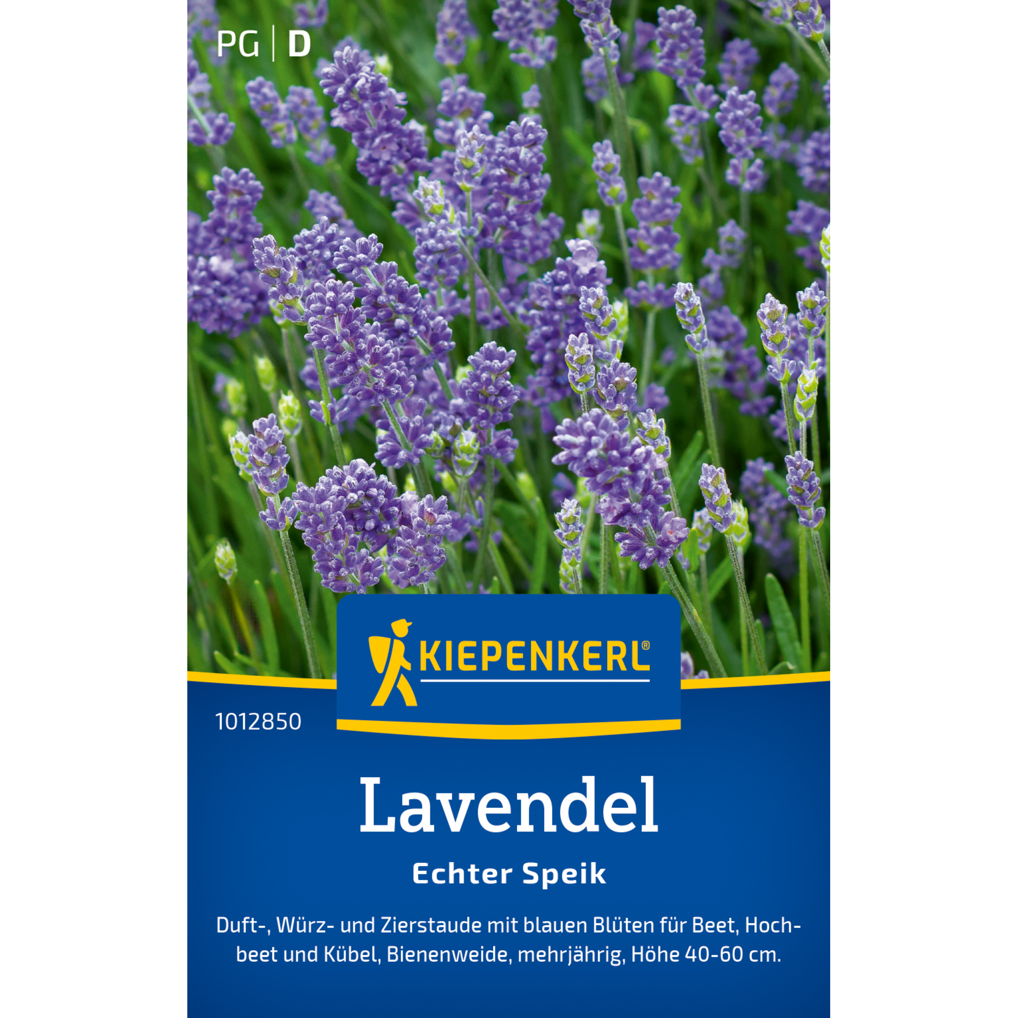 Lavendel 'Echter Speik'
