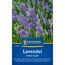 Lavendel 'Echter Speik'