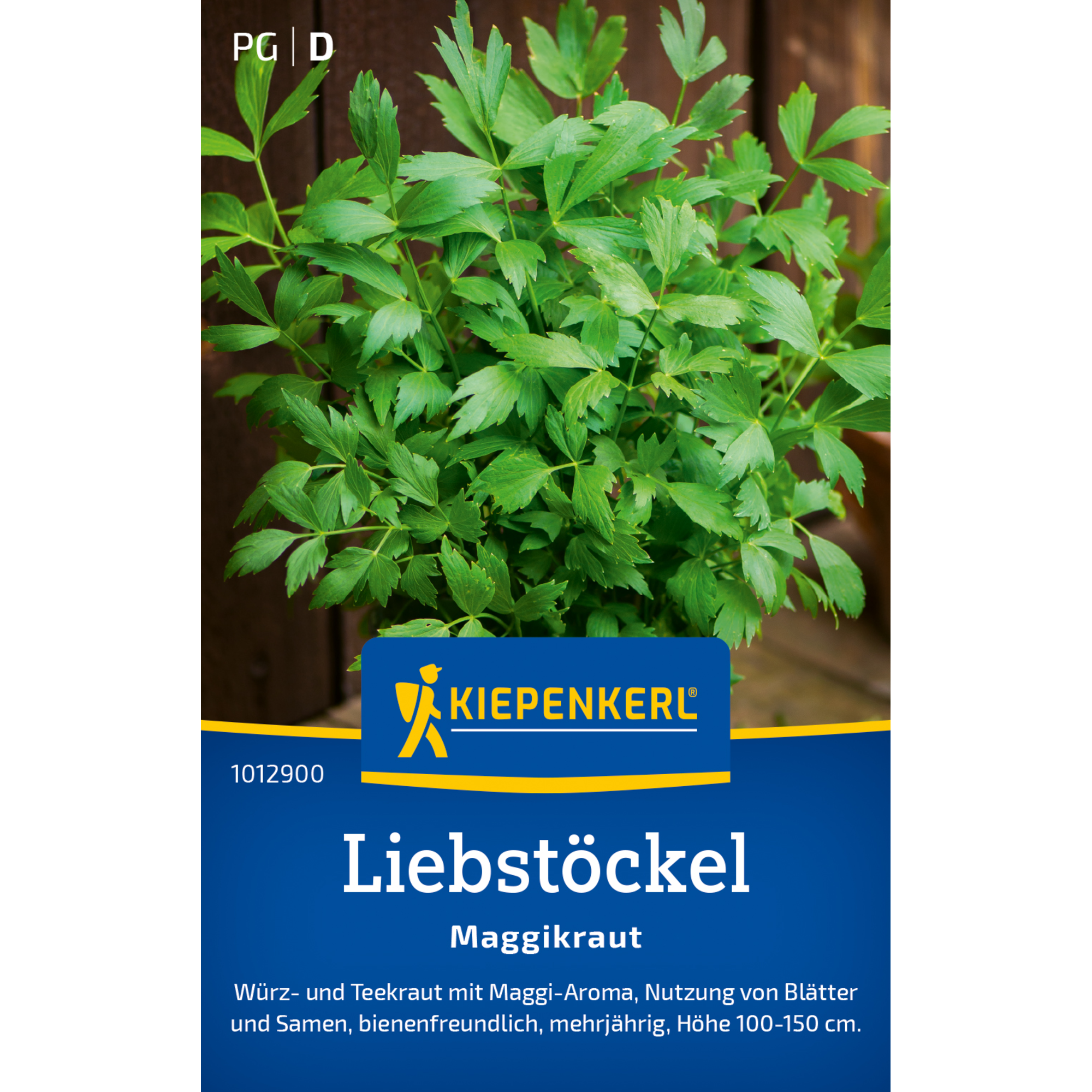 Liebstöckel 'Maggikraut'