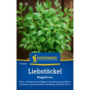 Liebstöckel 'Maggikraut'