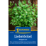 Liebstöckel 'Maggikraut'