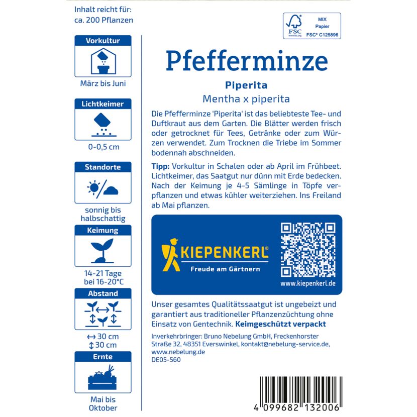 Pfefferminze 'Piperita'
