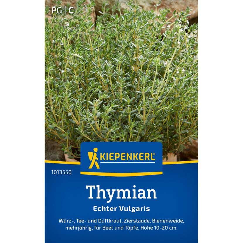 Thymian 'Echter Vulgaris'