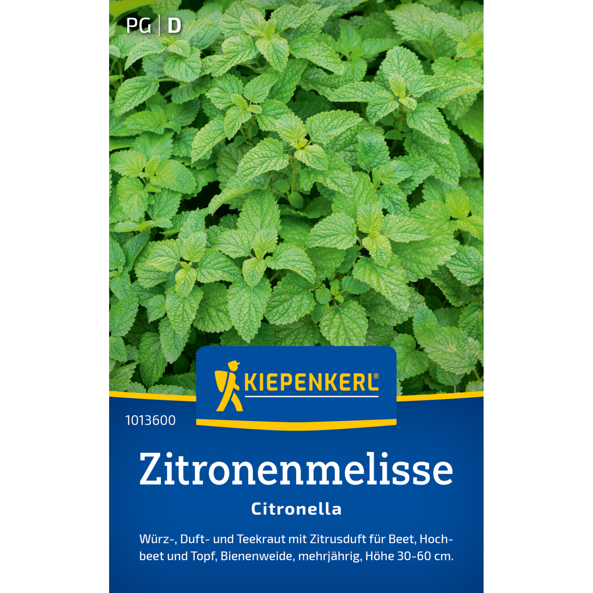 Zitronenmelisse 'Citronella'