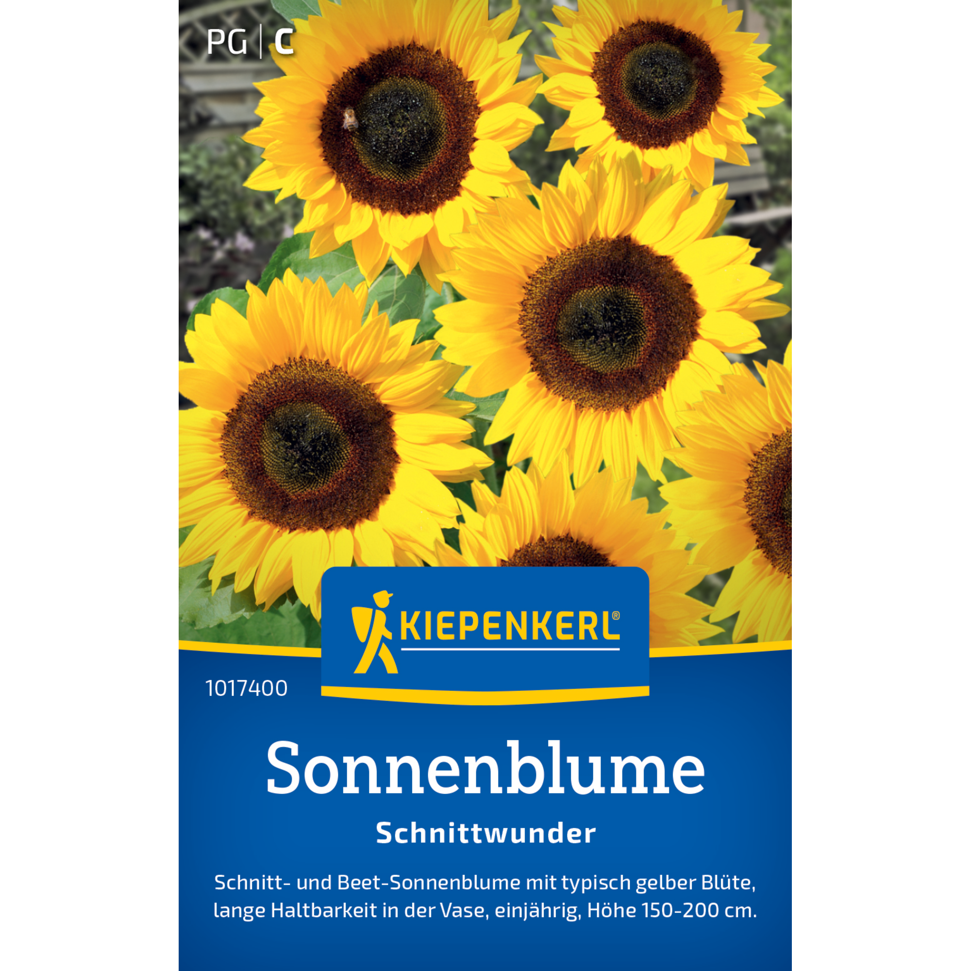 Sonnenblume 'Schnittwunder'