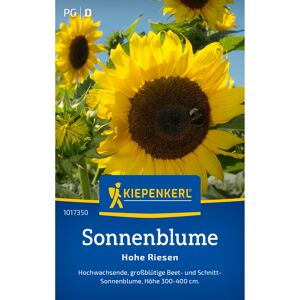 Sonnenblume 'Hohe Riesen'