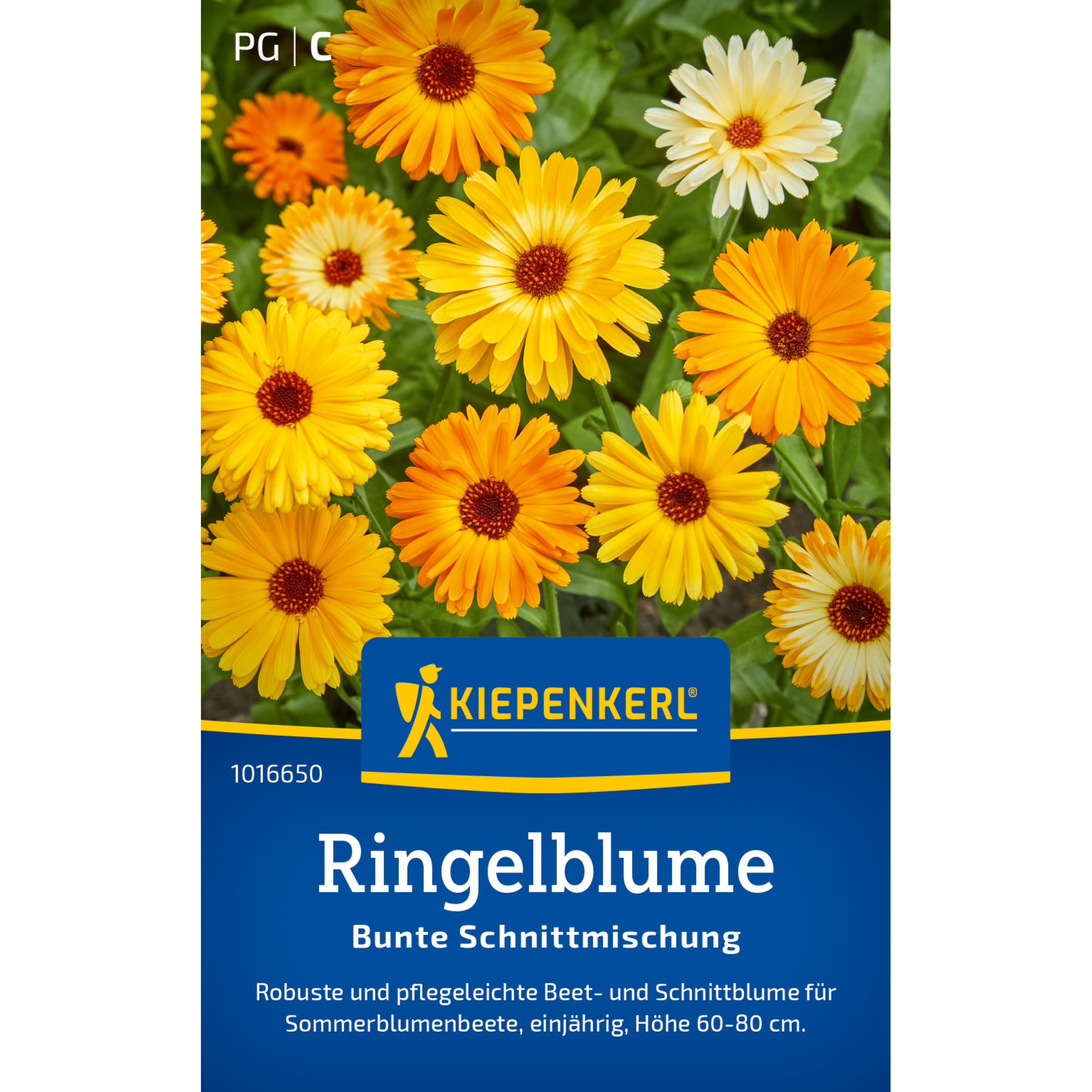 Ringelblume 'Bunte Schnittmischung'