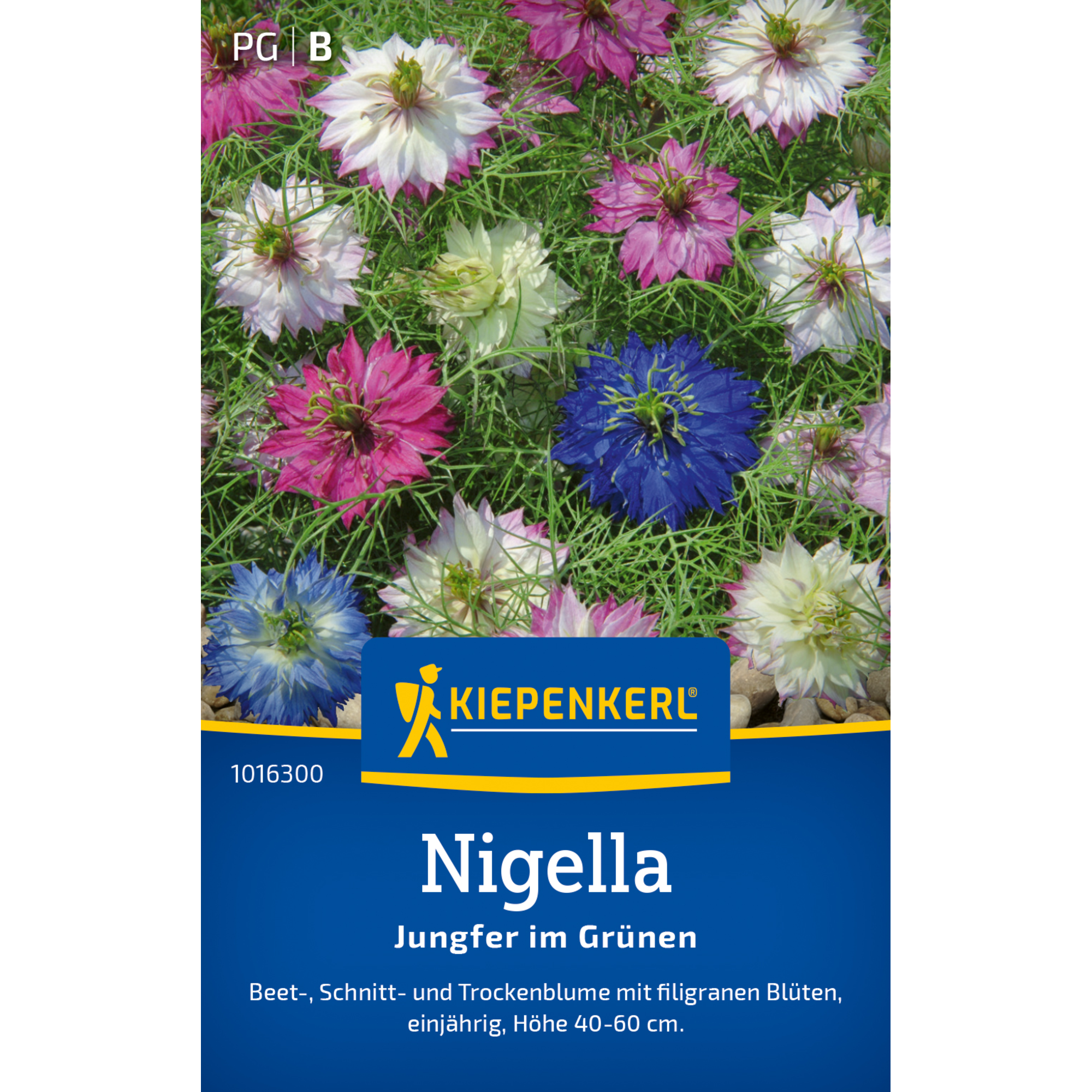 Nigella 'Jungfer im Grünen'