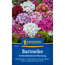 Bartnelke 'Einfachblühende Mischung'