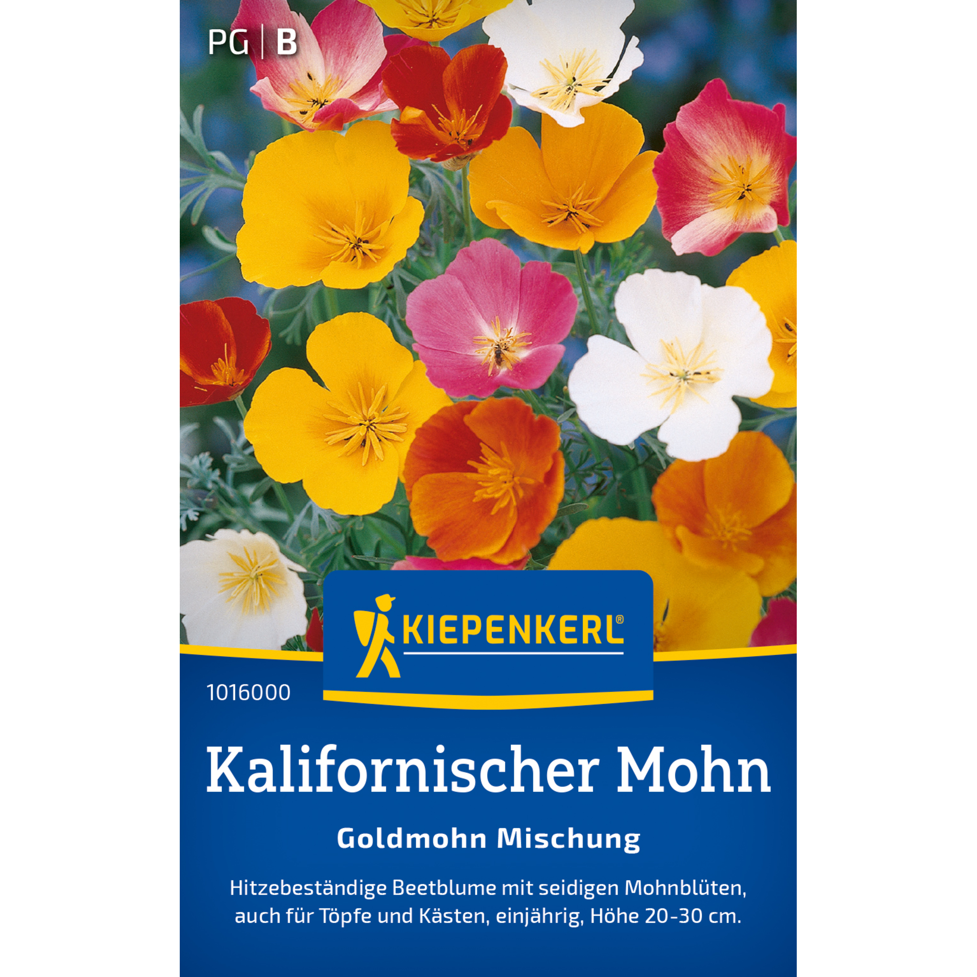 Kalifornischer Mohn 'Goldmohn Mischung'
