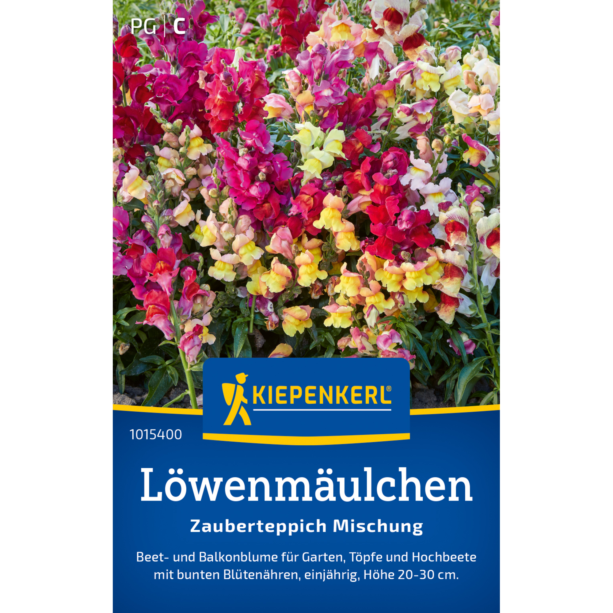 Löwenmäulchen 'Zauberteppich Mischung'