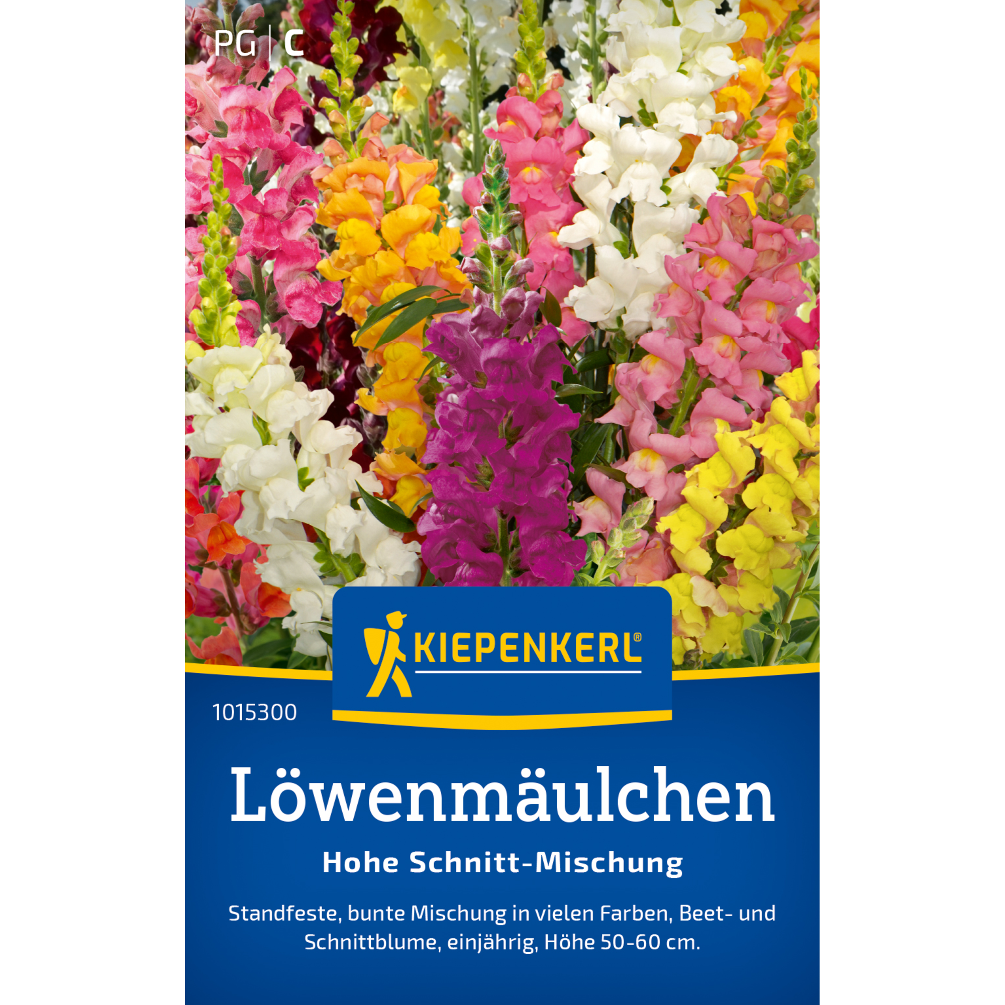 Löwenmäulchen 'Hohe Schnitt-Mischung'