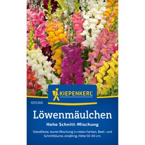 Löwenmäulchen 'Hohe Schnitt-Mischung'