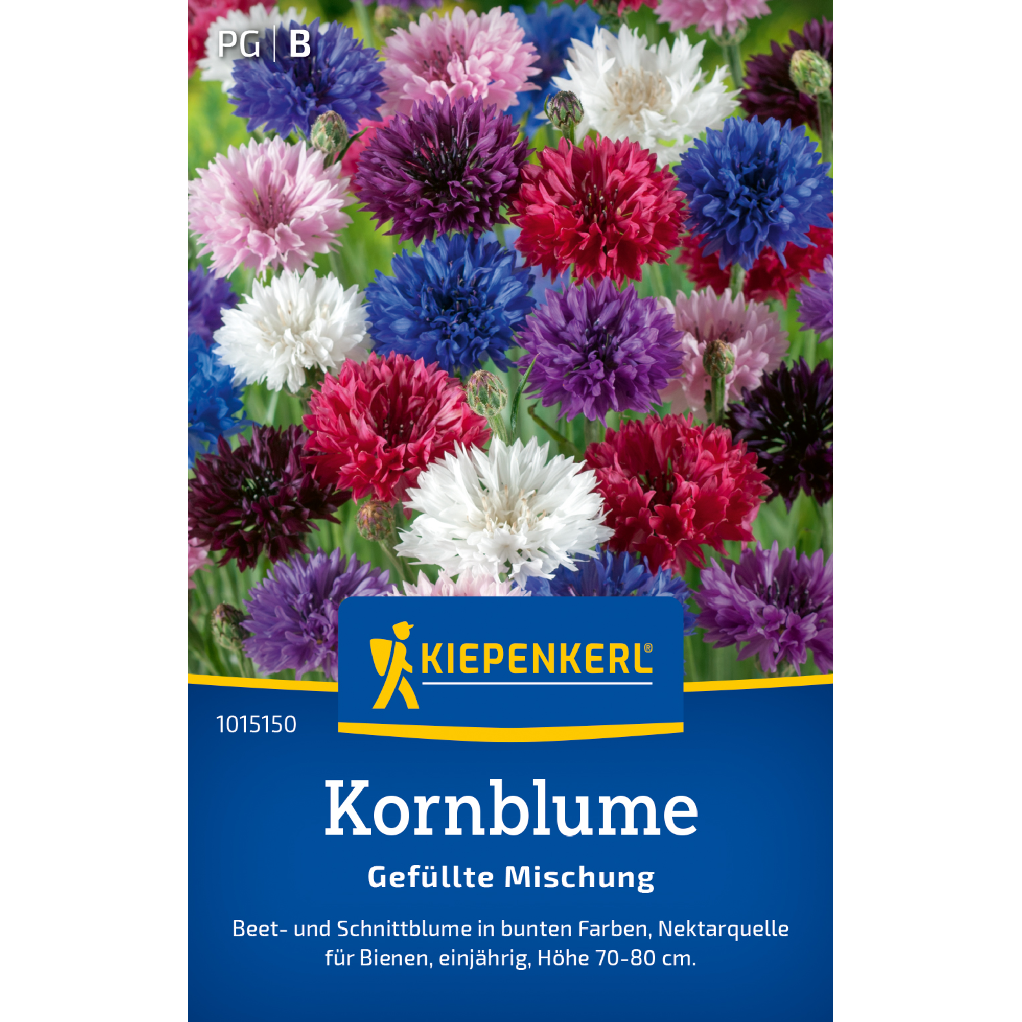 Kornblume 'Gefüllte Mischung'