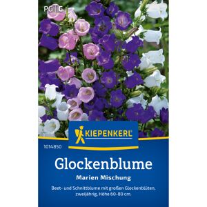 Glockenblume 'Marien Mischung'