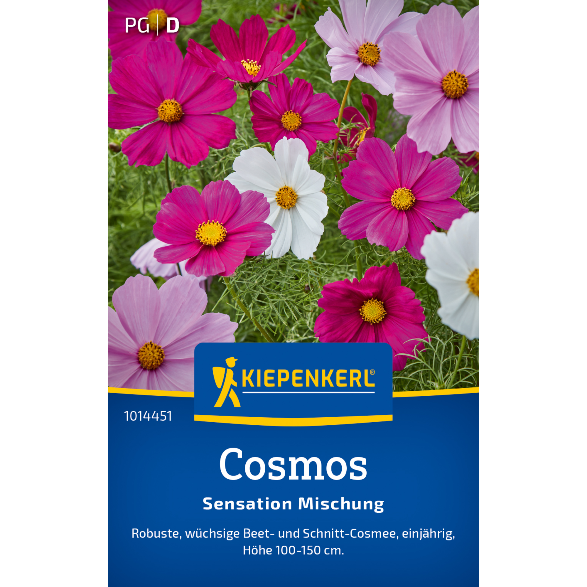 Cosmos 'Sensation Mischung'