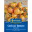 Cocktail-Tomate 'Tropical Sun' F1-Hybride