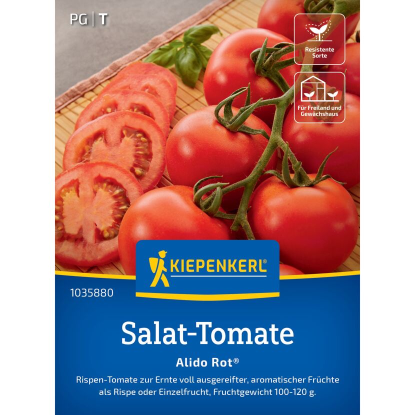 Salat-Tomate 'Alido Rot®' F1-Hybride