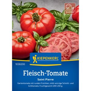 Fleisch-Tomate 'Saint Pierre'
