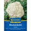 Blumenkohl Clapton' F1-Hybride